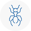 Ant Removals In Lynn Regis