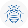 Bed Bug Extermination In Lynn Regis