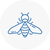 Bee Nest Removal Lynn Regis