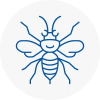 Lynn Regis Hornet Nest Removals