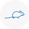 Mice Exterminators In Lynn Regis