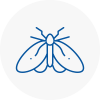 Moth Control Specialists In Lynn Regis