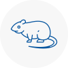 Rat Control Lynn Regis