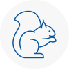 Lynn Regis Rodent Removals